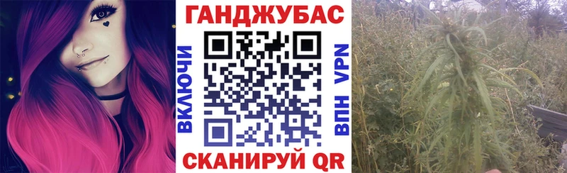 Купить где  Юрьевец  Каннабис планчик 